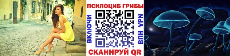 купить наркотики сайты Лыткарино мега зеркало Галлюциногенные грибы Psilocybine cubensis